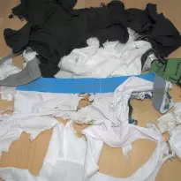 boxers destruction frenzy